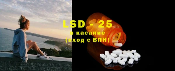 хмурый Каменка