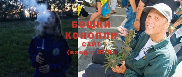 мдпв Осинники