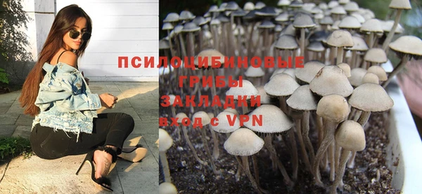мдпв Осинники