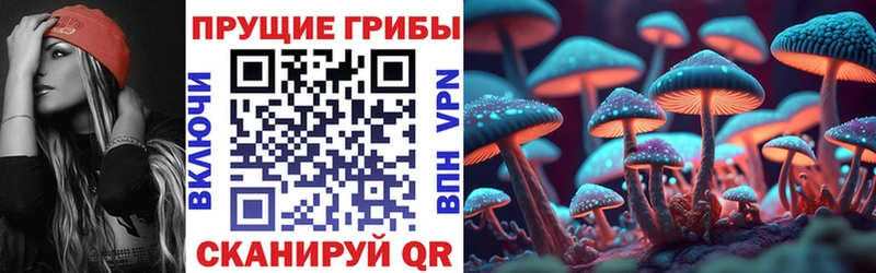 Галлюциногенные грибы мухоморы  Кохма 